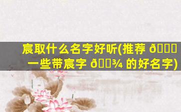 宸取什么名字好听(推荐 🕊 一些带宸字 🌾 的好名字)